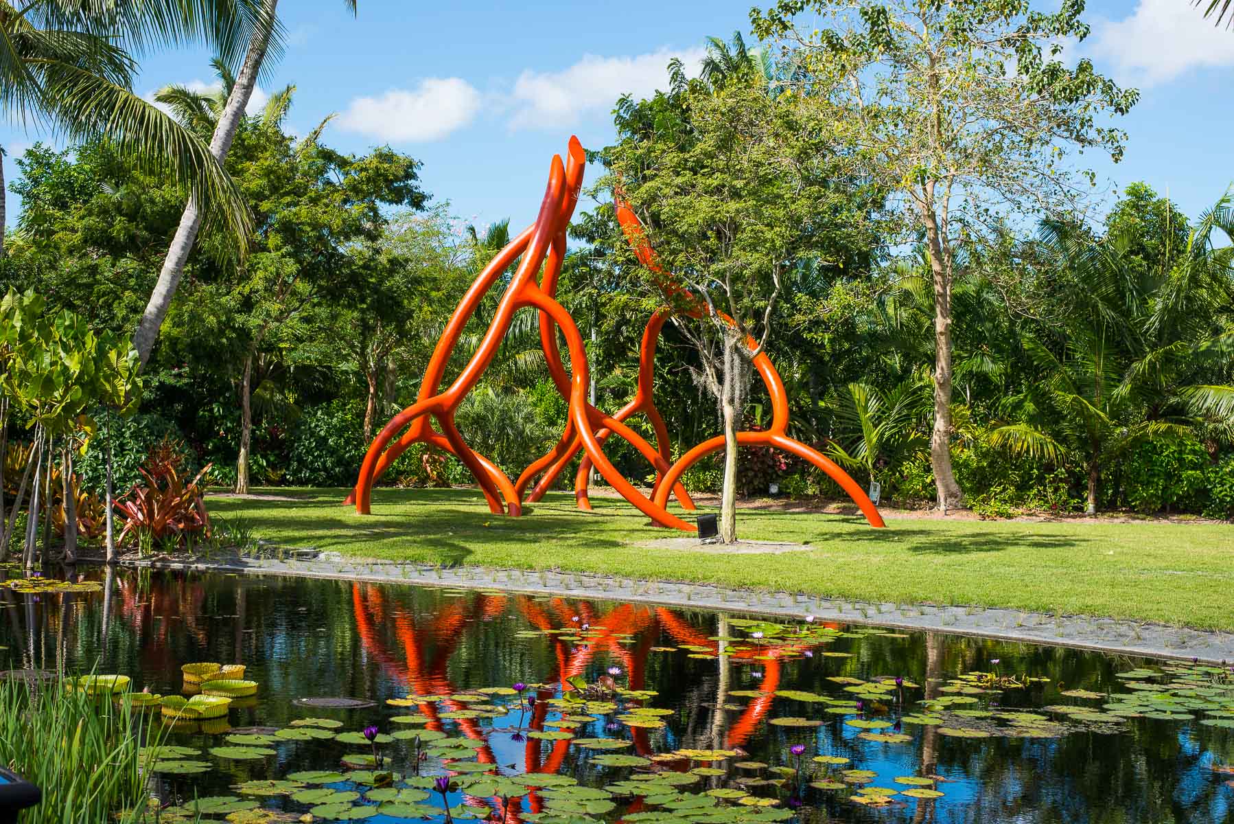 Naples Botanical Gardens and The Natural Beauty of Roots.